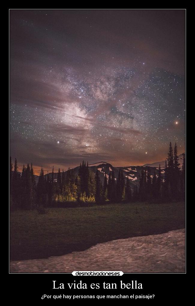 La vida es tan bella - ¿Por qué hay personas que manchan el paisaje?