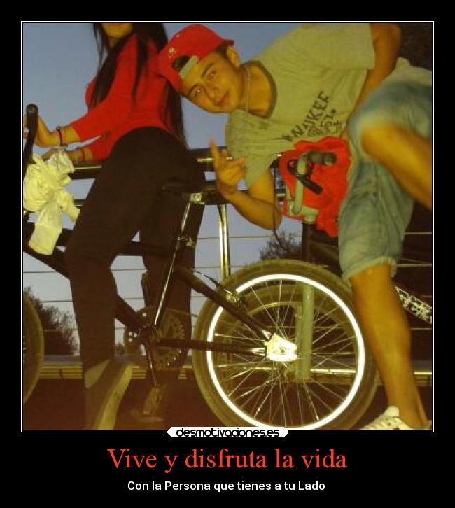 carteles vida amor desmotivaciones