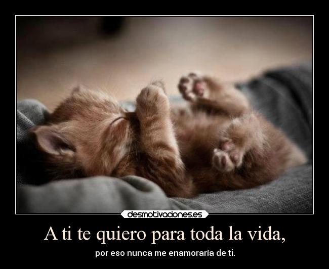 A ti te quiero para toda la vida, - por eso nunca me enamoraría de ti.