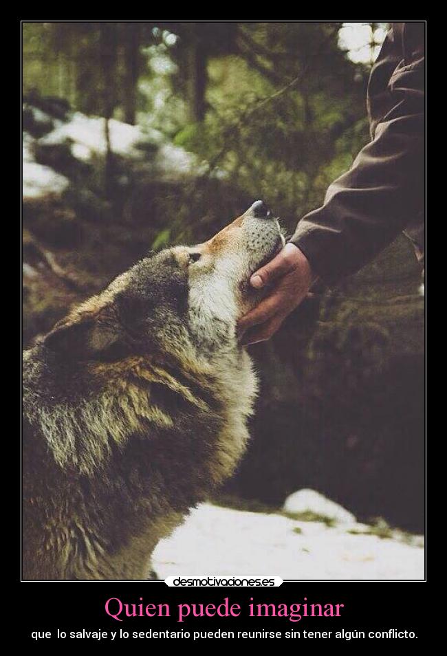 Quien puede imaginar - que  lo salvaje y lo sedentario pueden reunirse sin tener algún conflicto.