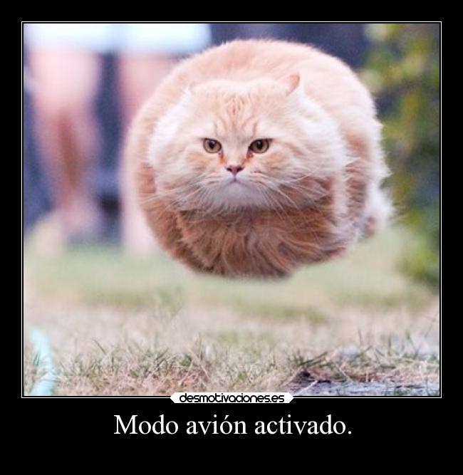 Modo avión activado. -