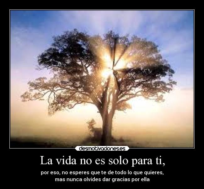 La vida no es solo para ti, - por eso, no esperes que te de todo lo que quieres,
mas nunca olvides dar gracias por ella