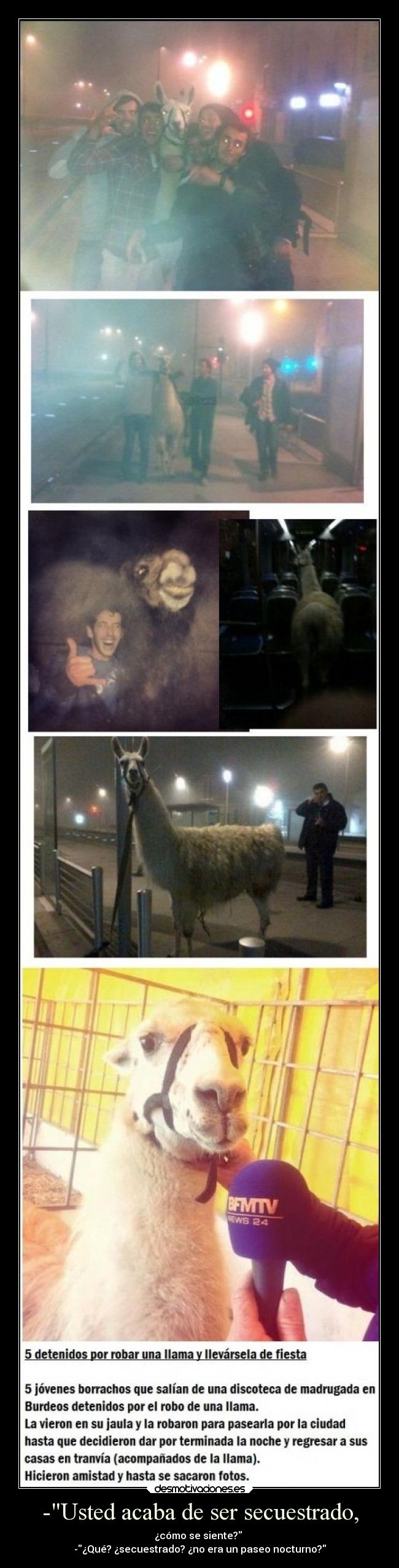 carteles vida besos llamasami desmotivaciones