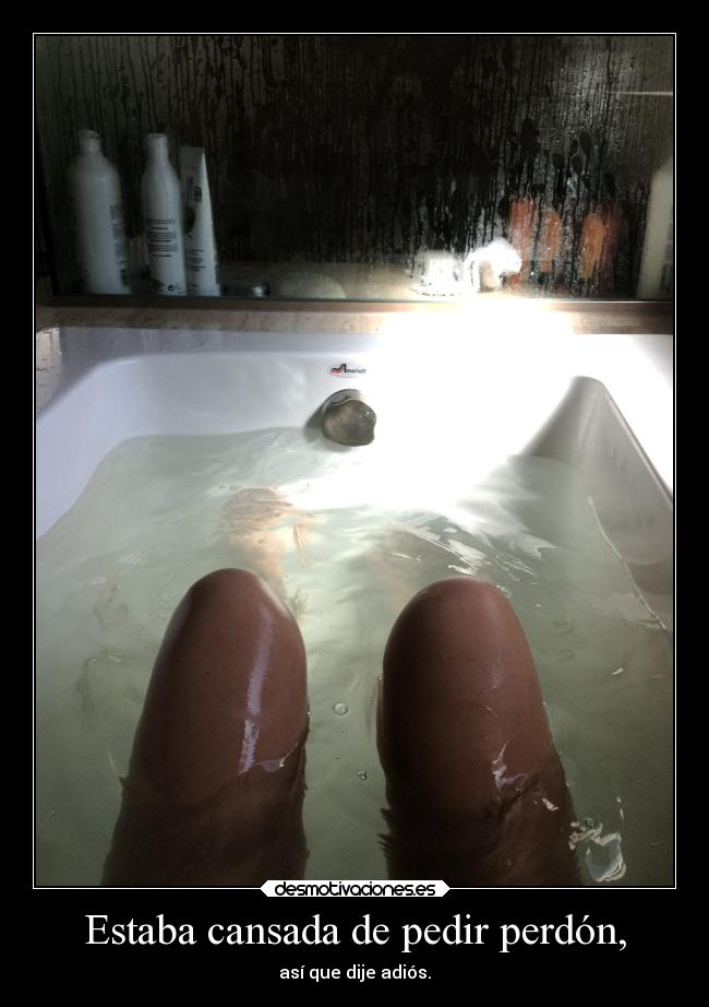 Estaba cansada de pedir perdón, - así que dije adiós.