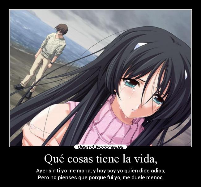 carteles vida debilidad anime distancia dolor frases olvidar recuerdos soledad tristeza desmotivaciones