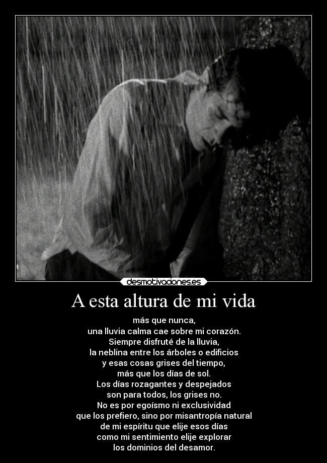 carteles vida desamor desmotivaciones