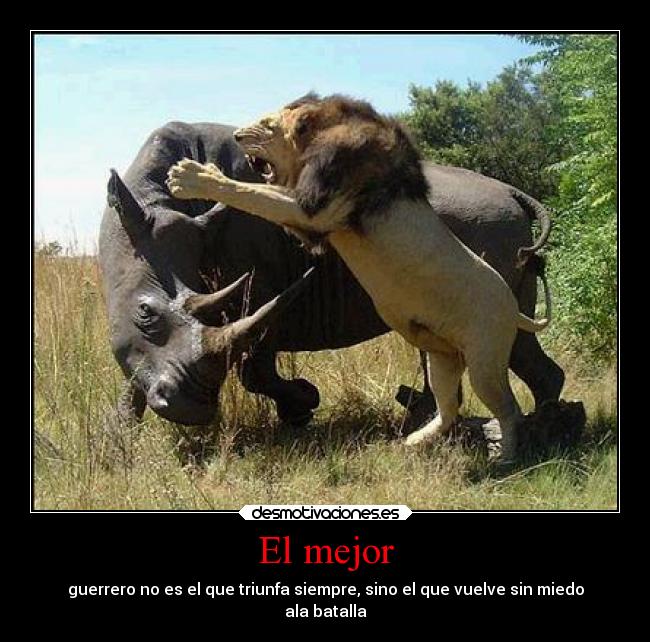 El mejor - guerrero no es el que triunfa siempre, sino el que vuelve sin miedo
ala batalla