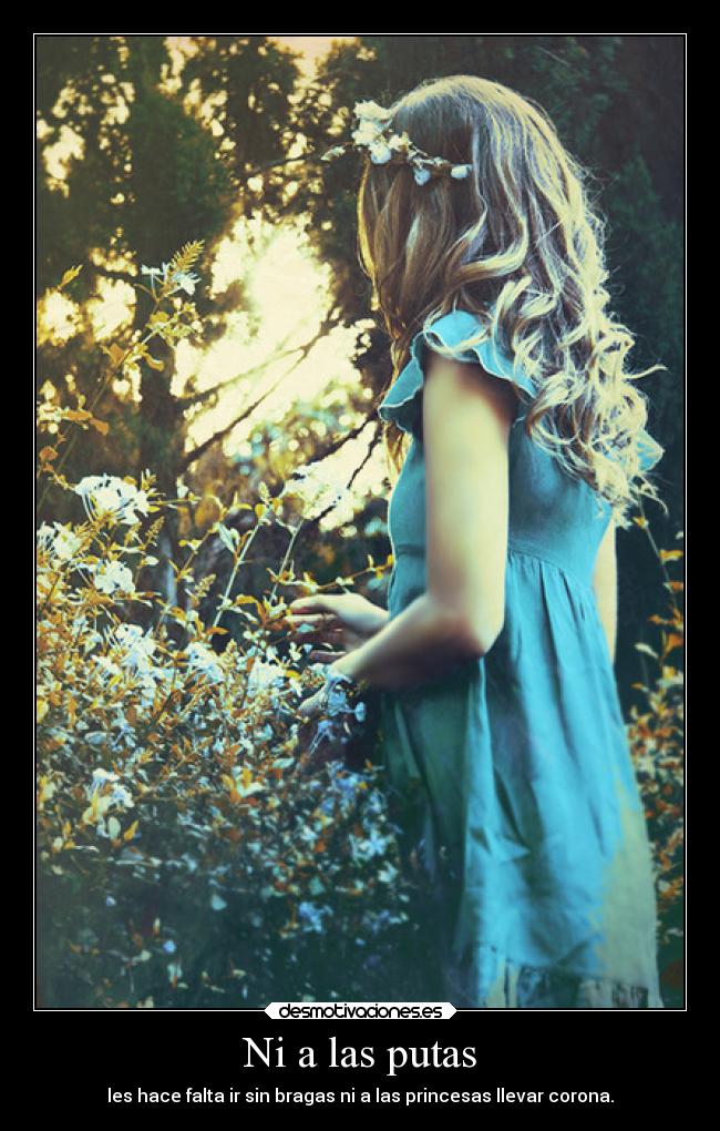Ni a las putas - les hace falta ir sin bragas ni a las princesas llevar corona.