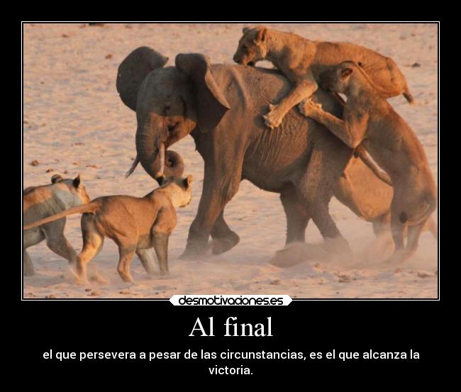 Al final - el que persevera a pesar de las circunstancias, es el que alcanza la
victoria.