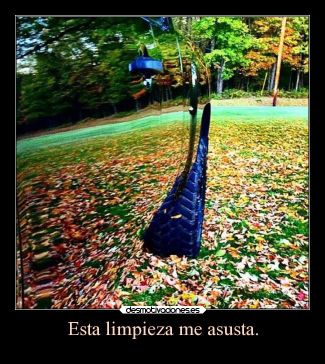 Esta limpieza me asusta. - 