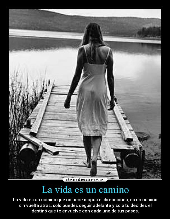 carteles vida destino vida desmotivaciones