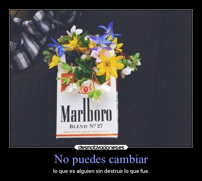 No puedes cambiar - lo que es alguien sin destruir lo que fue.