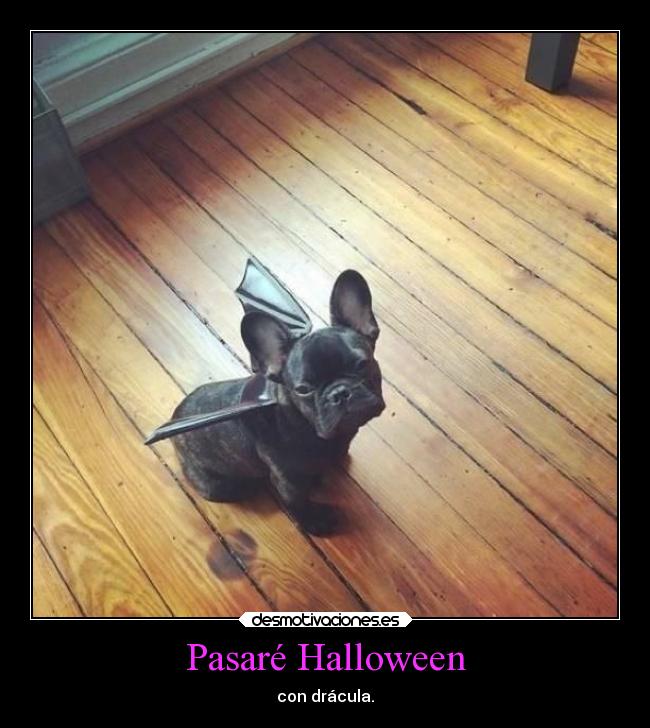 Pasaré Halloween - con drácula.