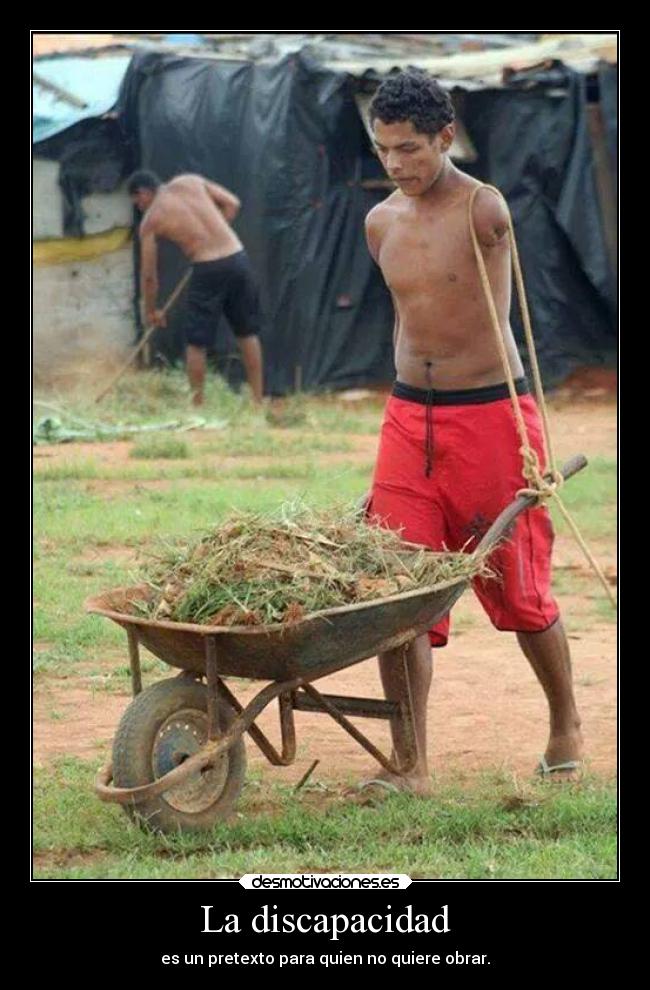 La discapacidad - es un pretexto para quien no quiere obrar.