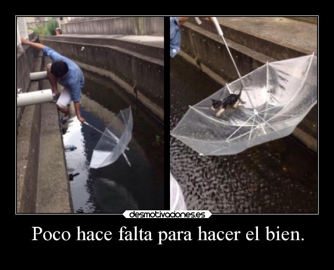 Poco hace falta para hacer el bien. - 