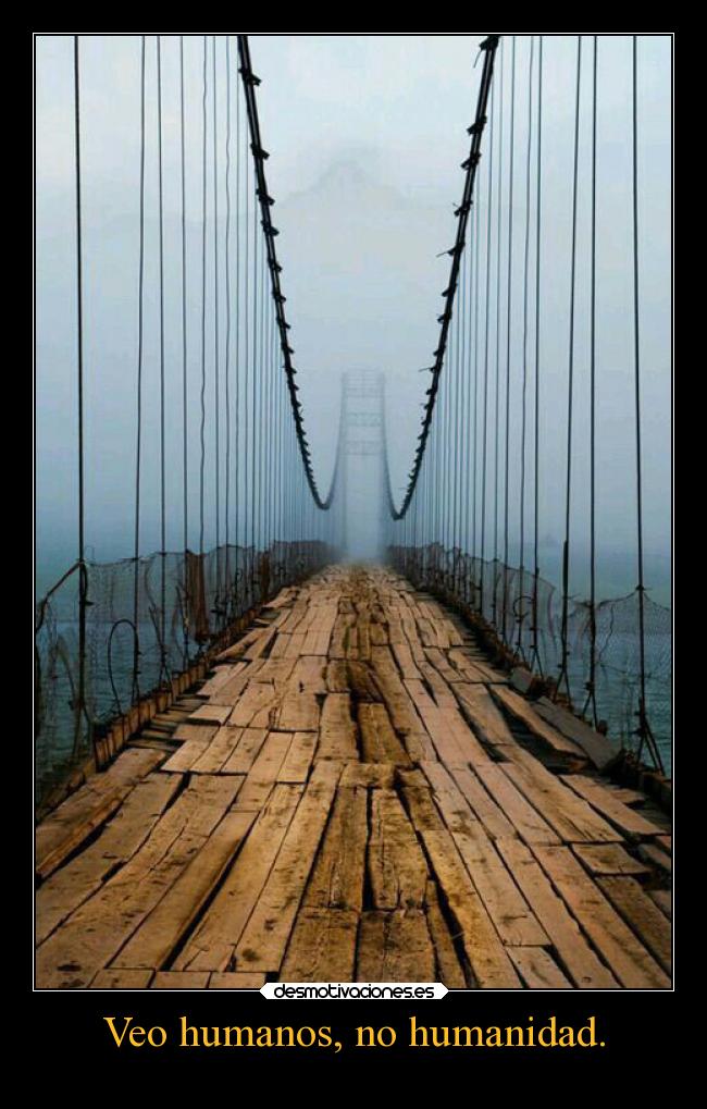 Veo humanos, no humanidad. - 