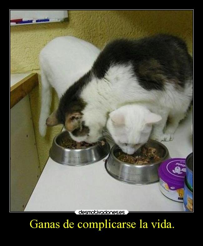 Ganas de complicarse la vida. - 