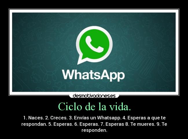 Ciclo de la vida. - 1. Naces. 2. Creces. 3. Envías un Whatsapp. 4. Esperas a que te
respondan. 5. Esperas. 6. Esperas. 7. Esperas 8. Te mueres. 9. Te
responden.