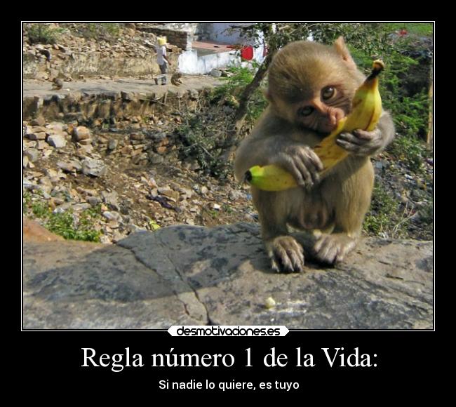 carteles vida ideas regla1delavidasegunyo experiencias desmotivaciones