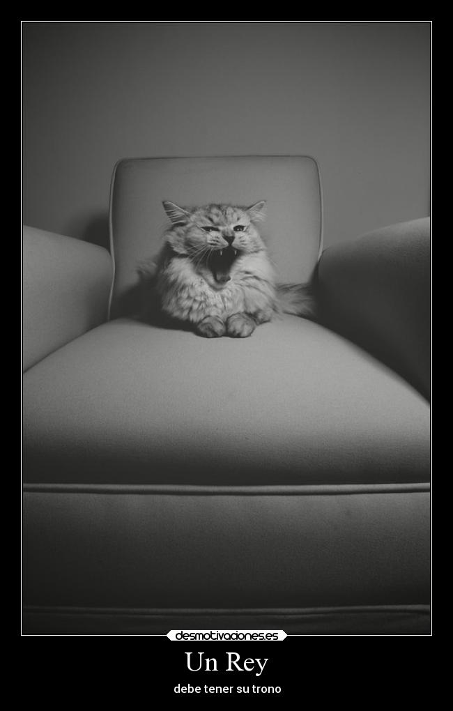 Un Rey -