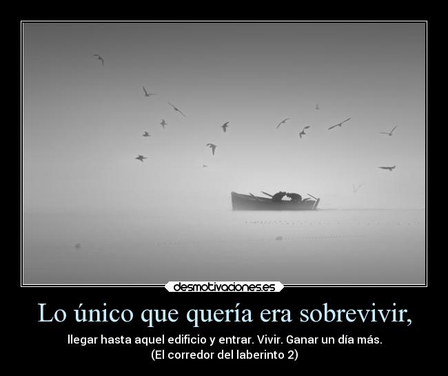 carteles vida libros desmotivaciones