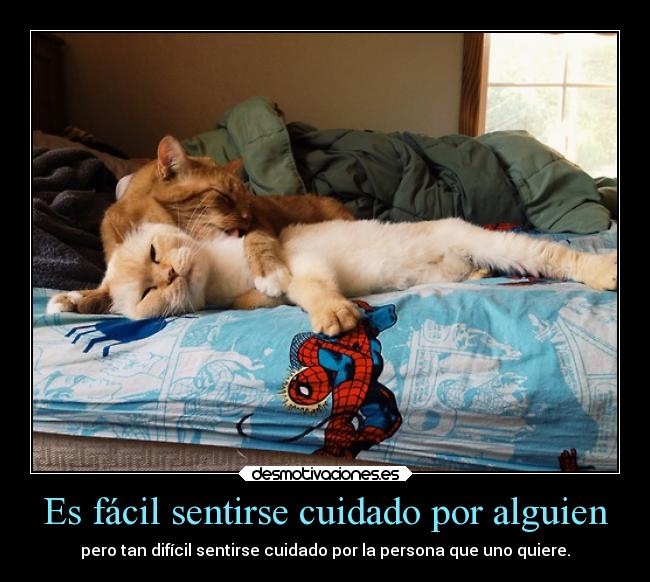 carteles vida llllllllllllllll samelove sleepwalktime cutewinter desmotivaciones