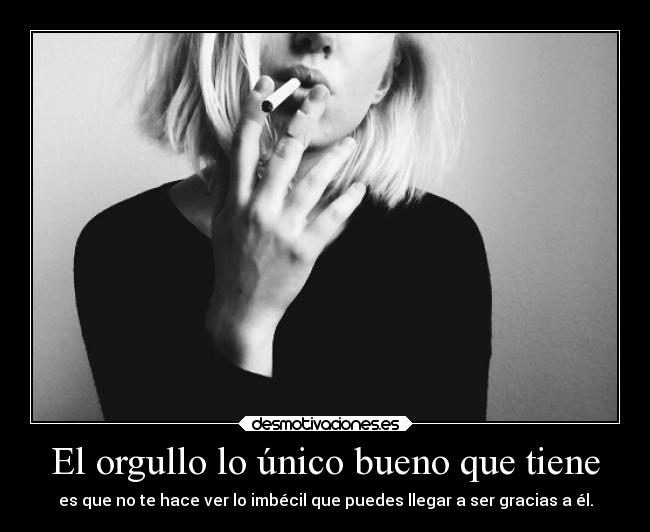 El orgullo lo único bueno que tiene - es que no te hace ver lo imbécil que puedes llegar a ser gracias a él.