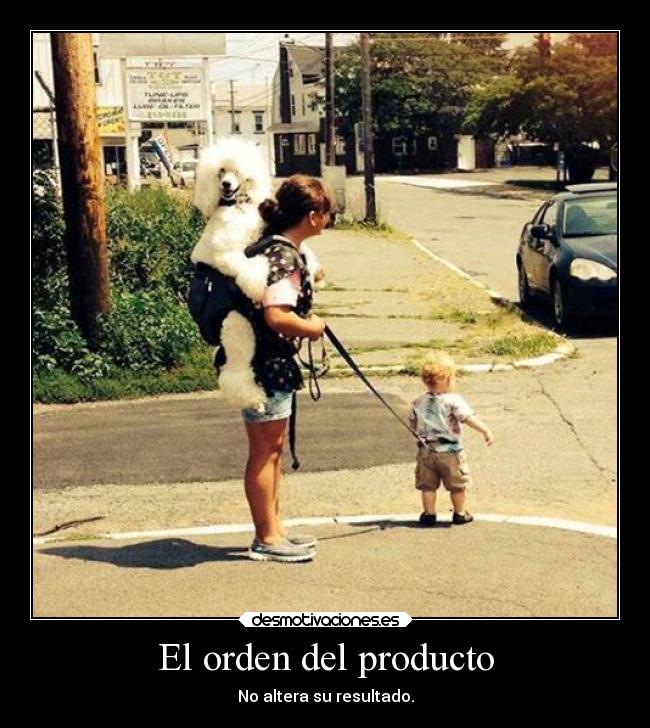 carteles vida locura madre mujer ideas graciosas fail animales desmotivaciones