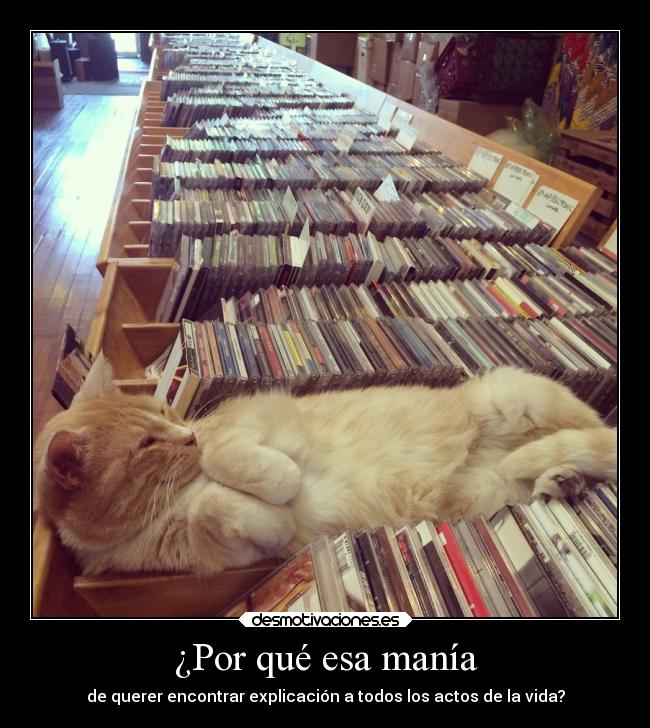 carteles vida manias querer explicar actos desmotivaciones