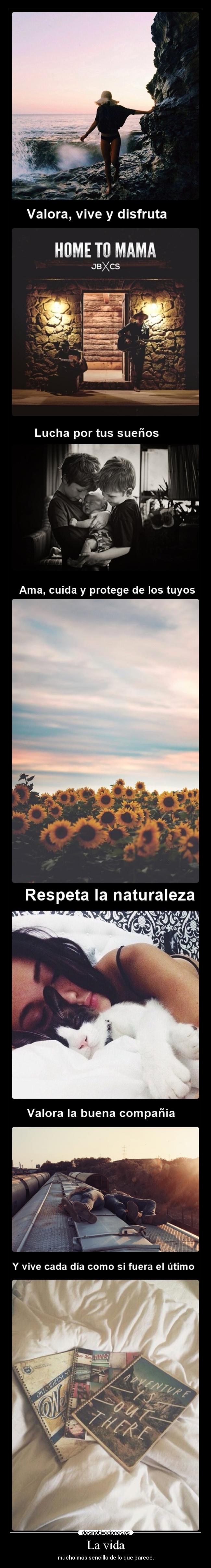 La vida - mucho más sencilla de lo que parece.