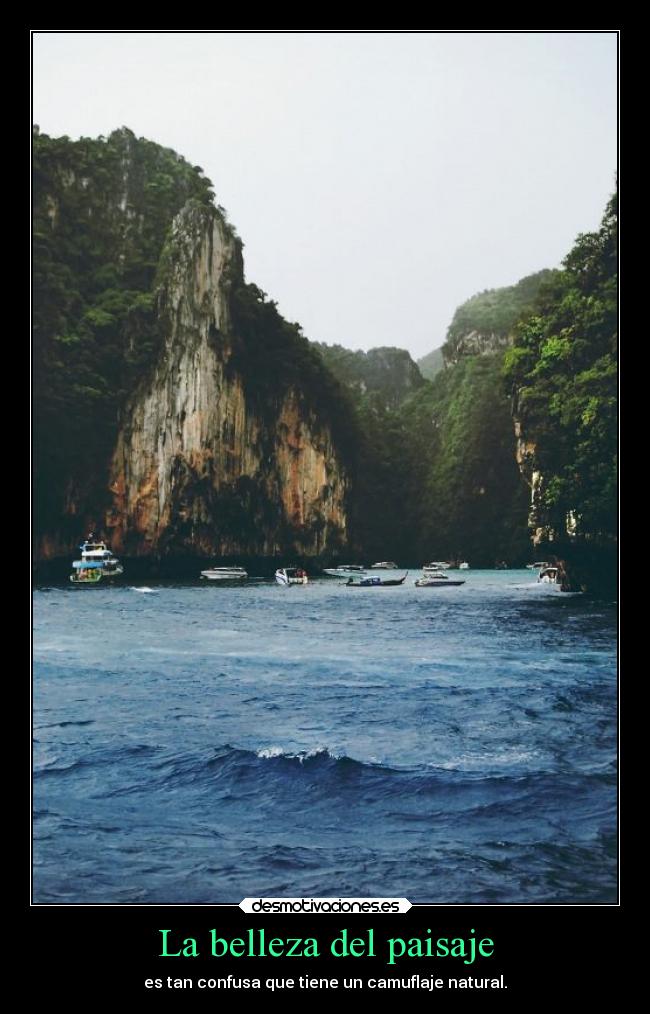 La belleza del paisaje - es tan confusa que tiene un camuflaje natural.