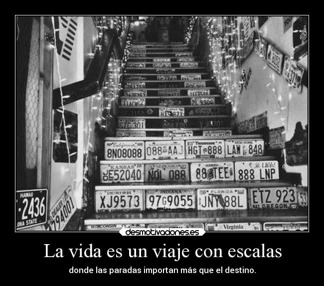 carteles vida vida purpleday desmotivaciones