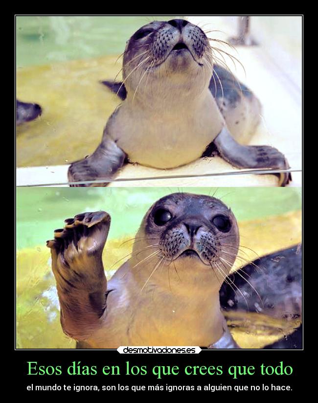Esos días en los que crees que todo - el mundo te ignora, son los que más ignoras a alguien que no lo hace.