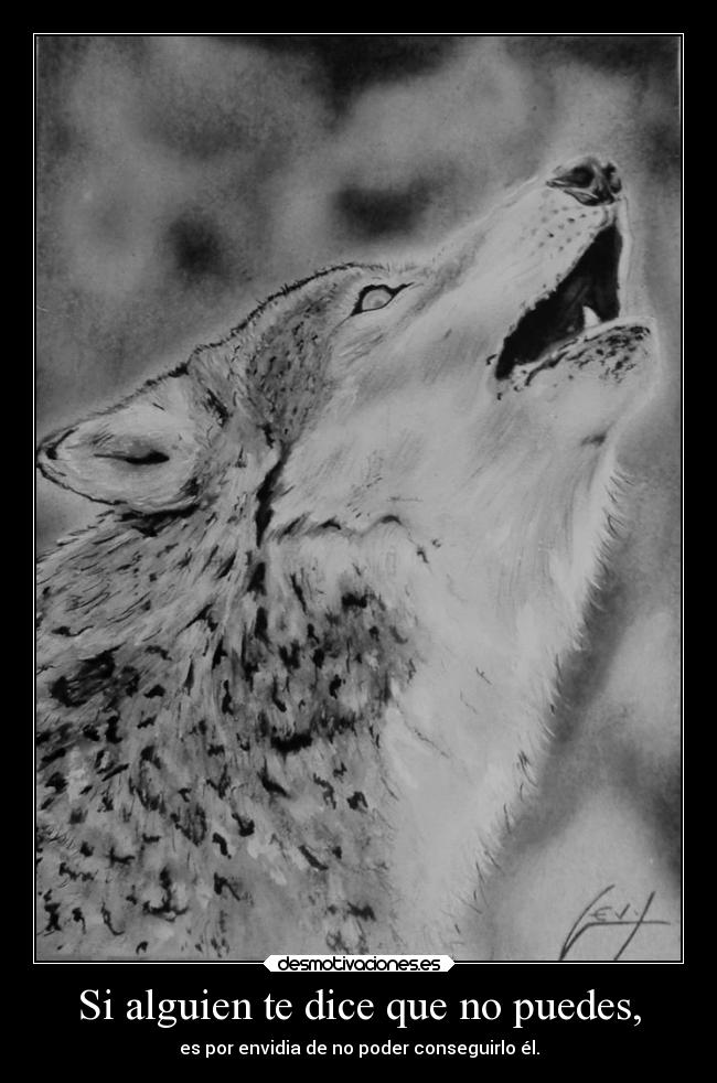 Si alguien te dice que no puedes, -