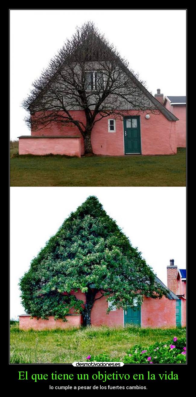 El que tiene un objetivo en la vida - lo cumple a pesar de los fuertes cambios.