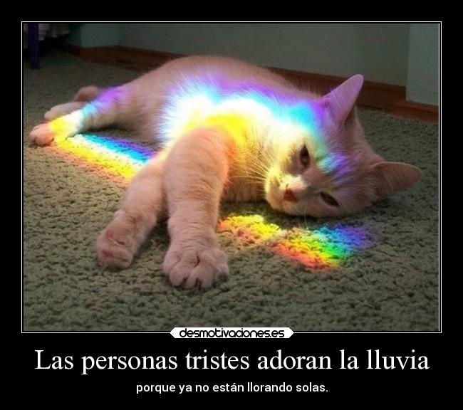 carteles vida tristeza sebastian656 frasedeweheartit realidadesperdidas pensamientosdeunsuicida lluvia desmotivaciones