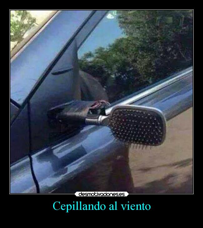 Cepillando al viento -