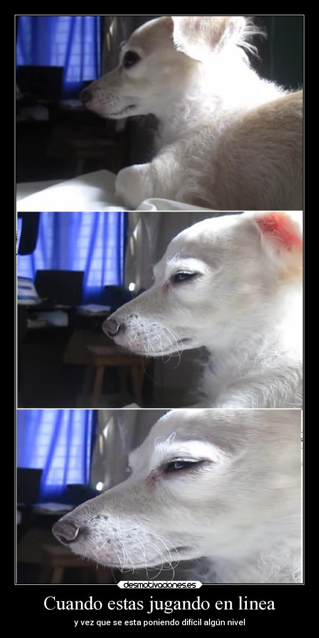 carteles videojuegos vida desmotivaciones