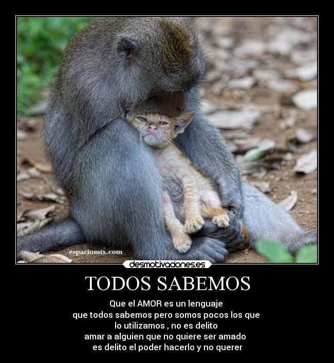 TODOS SABEMOS - Que el AMOR es un lenguaje
que todos sabemos pero somos pocos los que
lo utilizamos , no es delito
amar a alguien que no quiere ser amado
es delito el poder hacerlo y no querer