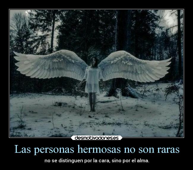 Las personas hermosas no son raras - no se distinguen por la cara, sino por el alma.