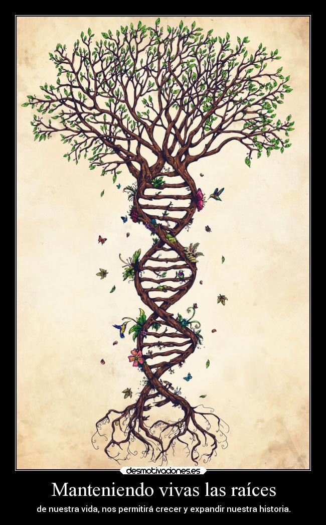 carteles alma davor safth clandesplazado soyunidiotatm imperiodesplazado esop desmotivaciones