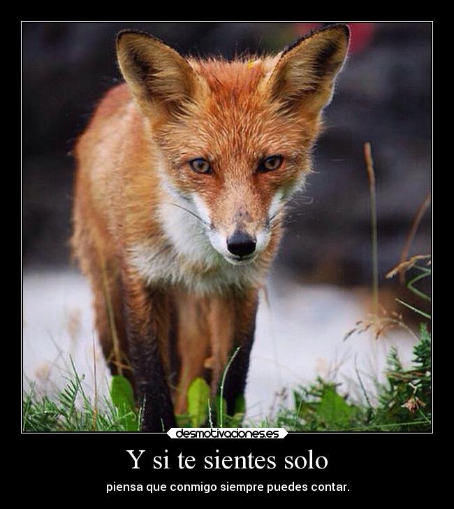 Y si te sientes solo -