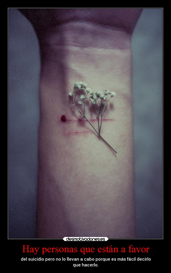 Hay personas que están a favor - 