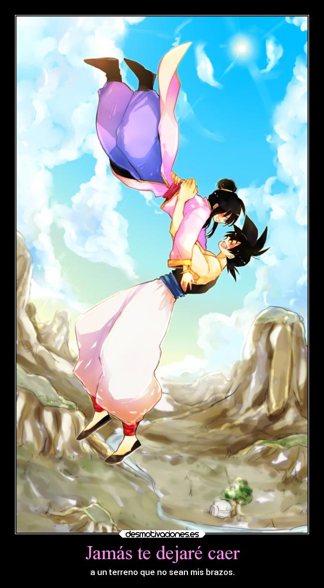 Jamás te dejaré caer - a un terreno que no sean mis brazos.