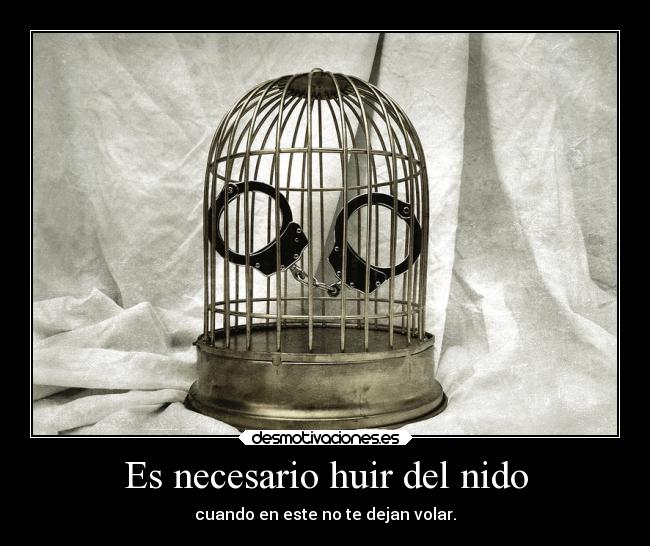 Es necesario huir del nido - cuando en este no te dejan volar.
