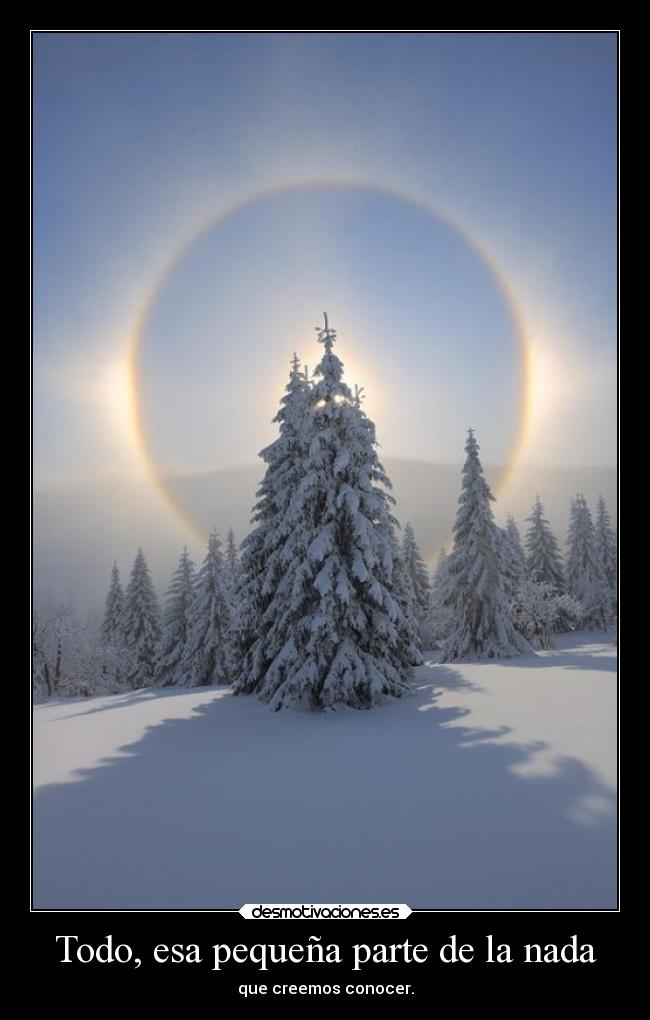 carteles alma vida sebastian656 twitter uliseskaufman realidadesperdidas universo realidad desmotivaciones