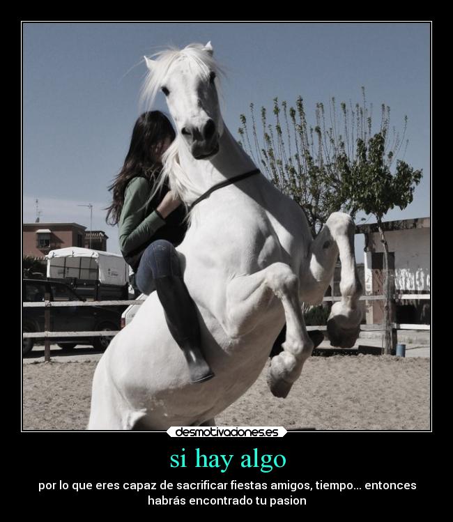 carteles amigos amor caballos pasion sacrificar fiestas tiempo manos desmotivaciones