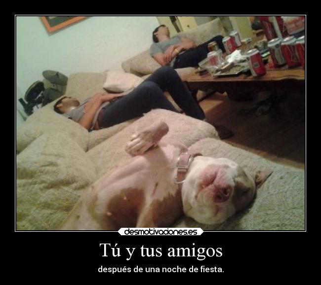 carteles amigos desmotivaciones tonteriasde karaoke soyunidiotatm desmotivaciones