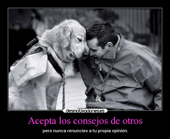 carteles amistad amigos alegria abrazos desmotivaciones