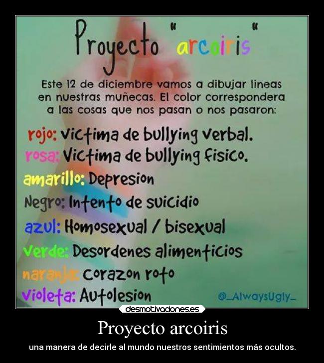 Proyecto arcoiris -